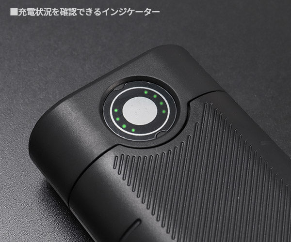 【ワケあり特価品】 (状態A) LEDLENSER Powerbank Fle×10 502127 レッドレンザー