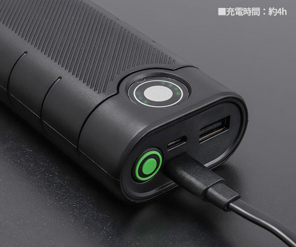 【ワケあり特価品】 (状態A) LEDLENSER Powerbank Fle×10 502127 レッドレンザー