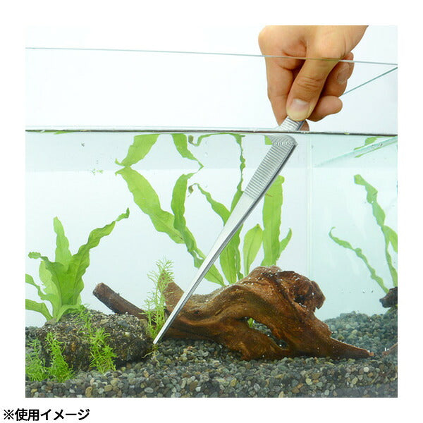 アネックス ステンレスピンセット ロング300mm直(先端ギザ) ステンレス (158)(4962485091446) ANEX