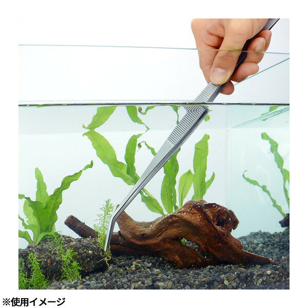 アネックス ステンレスピンセット ロング300mm先曲(先端ギザ) ステンレス (159)(4962485091453) ANEX