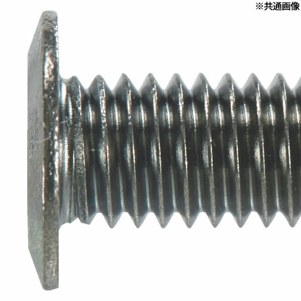 TRUSCO B181-0406 ヘックスローブ超極低頭ねじ 黒ニッケル M4×6 40本入(4550414133093) トラスコ中山