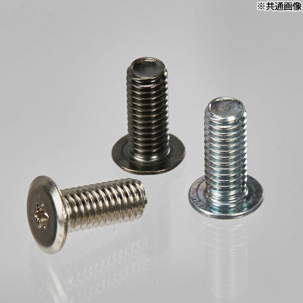 TRUSCO B181-0406 ヘックスローブ超極低頭ねじ 黒ニッケル M4×6 40本入(4550414133093) トラスコ中山