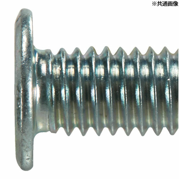 TRUSCO B182-0412 ヘックスローブ超極低頭ねじ 三価クロメート M4×12 24本入(4550414133222) トラスコ中山