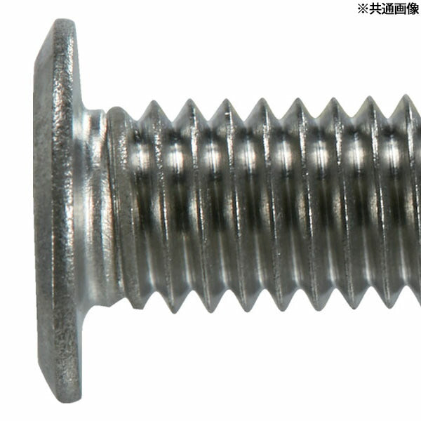 TRUSCO B183-0316 ヘックスローブ超極低頭ねじ ステンレス M3×16 20本入(4550414133437) トラスコ中山