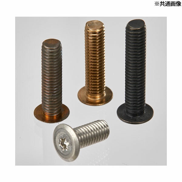 TRUSCO B183-0316 ヘックスローブ超極低頭ねじ ステンレス M3×16 20本入(4550414133437) トラスコ中山