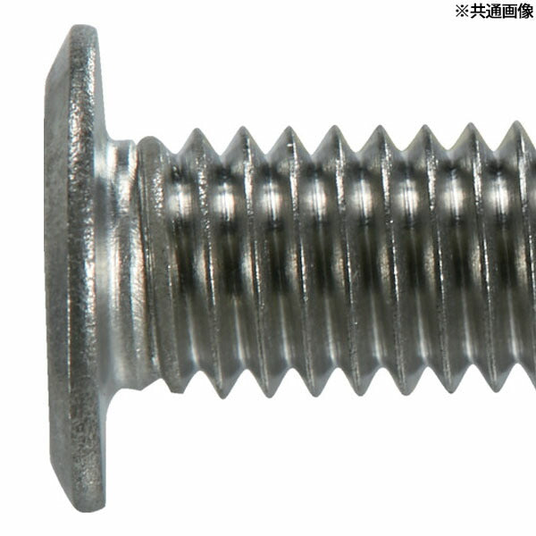 TRUSCO B183-0525 ヘックスローブ超極低頭ねじ ステンレス M5×25 12本入(4550414133567) トラスコ中山