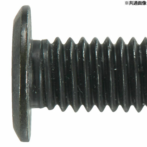 TRUSCO B185-0610 ヘックスローブ超極低頭ねじ ステンレス 黒染 M6×10 10本入(4550414091683) トラスコ中山