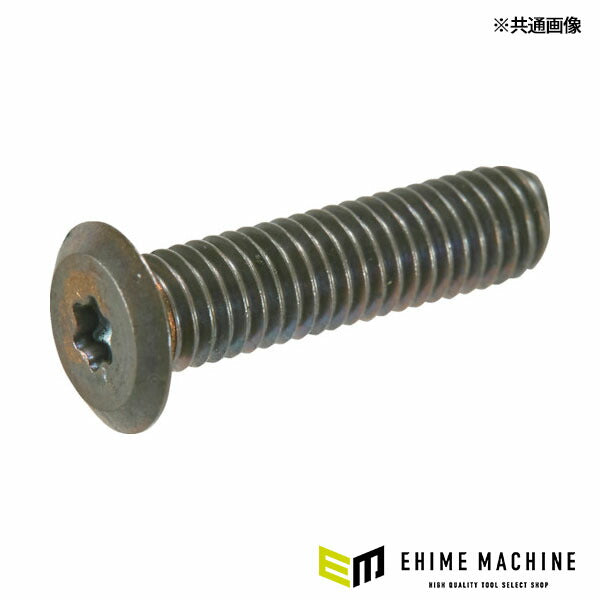 TRUSCO B186-0210 ヘックスローブ超極低頭ねじ ステンレス ブロンズ M2×10 10本入(4550414091805) トラスコ中山