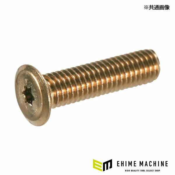 TRUSCO B187-0306 ヘックスローブ超極低頭ねじ ステンレス ライトブロンズ M3×6 10本入(4550414092307) トラスコ中山