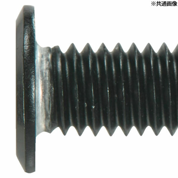 TRUSCO B190-0306 ヘックスローブ超極低頭ねじ アルミ アルマイト黒 M3×6 4本入(4550414092581) トラスコ中山