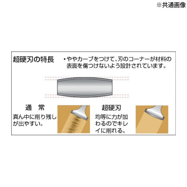 日本正規品 バーコ スクレーパーNS-665用替刃 刃幅65x刃長6.9mm 交換用 (451)(7311518014506) BAHCO