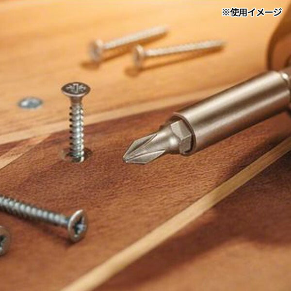 日本正規品 ボッシュ 21p ドライバービットセット LG 2607002823(3165140995559) BOSCH