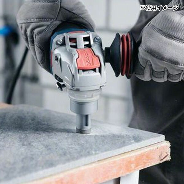 日本正規品 ボッシュ XLドライスピードダイヤ 20 2608599029 (3165140933650) BOSCH