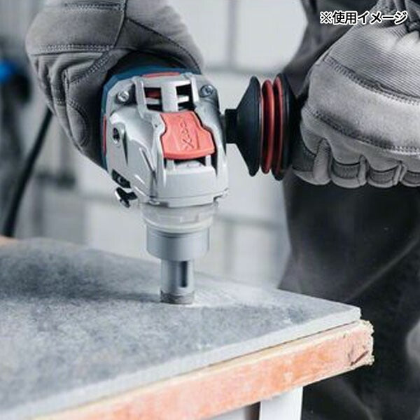 日本正規品 ボッシュ XLドライスピードダイヤ 30 2608599033 (3165140933698) BOSCH