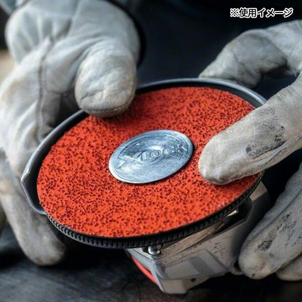 日本正規品 ボッシュ XLR781ディスク 125G36 (25枚) 2608621794 (4059952537191) BOSCH