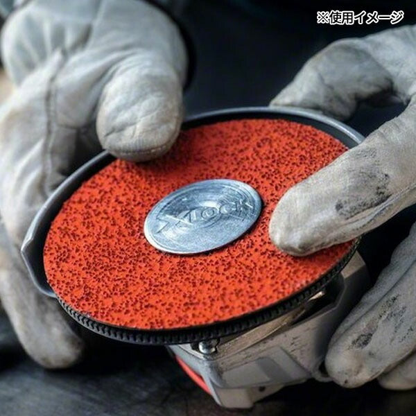 日本正規品 ボッシュ XLR781ディスク125G60 2608621795(4059952537207) BOSCH