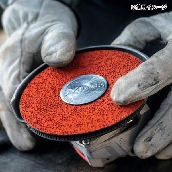 日本正規品 ボッシュ XLR782ディスク 125G120 (25枚) 2608621827 (4059952538501) BOSCH