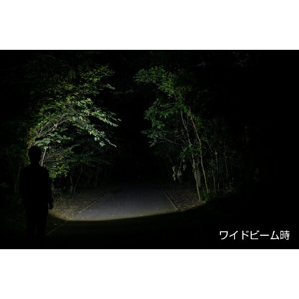 GENTOS ヘッドライト CP-131D ジェントス LEDライト 200ルーメン スポット ワイドビーム切替 電池 軽量・コンパクト