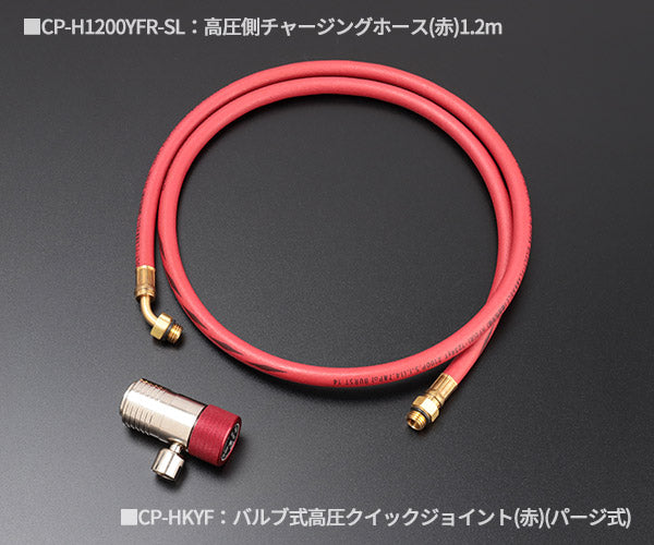 DENGEN CP-2VS-YFG R-1234YF専用 2バルブガスチャージセット PAG用 デンゲン