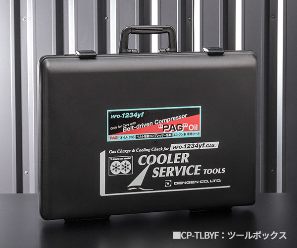 DENGEN CP-2VS-YFG R-1234YF専用 2バルブガスチャージセット PAG用 デンゲン