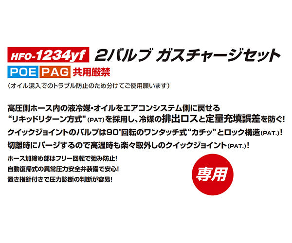 DENGEN CP-2VS-YFG R-1234YF専用 2バルブガスチャージセット PAG用 デンゲン