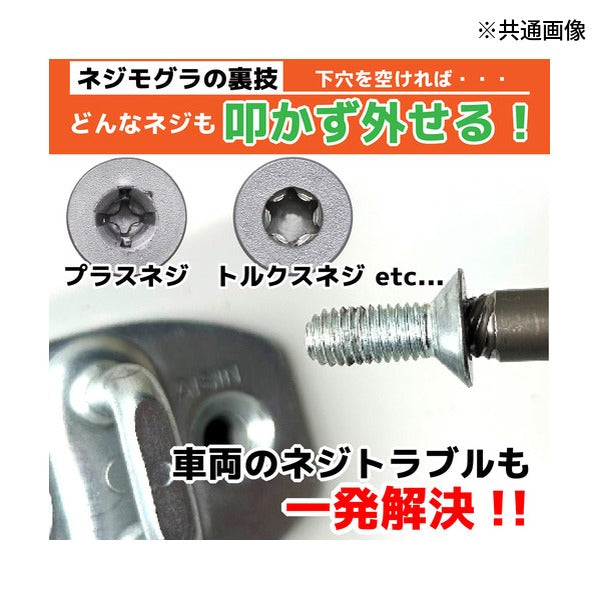 エンジニア ネジモグラ ソケット 対辺6.0mm 差込角9.5mm なめた六角穴ボルト外し (DWZ-406)(4989833015084) ENGINEER
