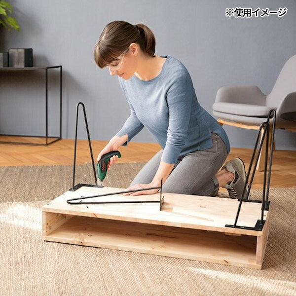 日本正規品 ボッシュ コードレスドライバー ESD3.6(4053423230611) BOSCH