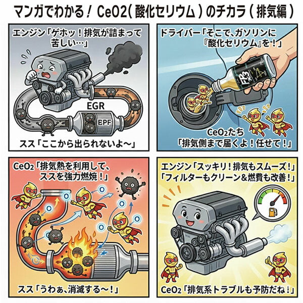 YAZAWA ヤザワ FPx3 フューエルポーション3 ガソリン車用 300ml 燃料添加剤 排気系洗浄 インジェクター 燃焼室 EGR 触媒 PEA PIB CeO2配合 (FP3-G300) (4580219090062)