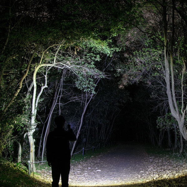 ジェントス ハイブリッド式LEDハンディライト Gシリーズ GF-206RG (4950654053753) GENTOS