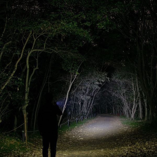 ジェントス ハイブリッド式LEDハンディライト Gシリーズ GF-206RG (4950654053753) GENTOS