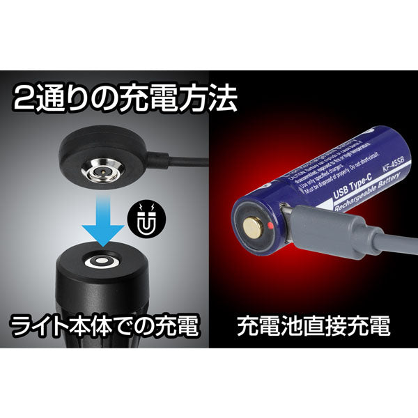 ジェントス ハイブリッド式LEDハンディライト Gシリーズ GF-206RG (4950654053753) GENTOS