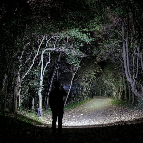 ジェントス LEDハンディライト Gシリーズ GF-216RG 1250ルーメン 無段階調光 USB充電/マグネット充電 5年保証 (4950654053777) GENTOS