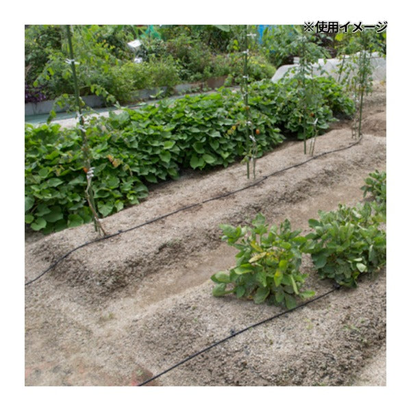 タカギ 水やりスターターキットタイマー付(家庭用菜園用) (GKK101)(4975373154567) takagi