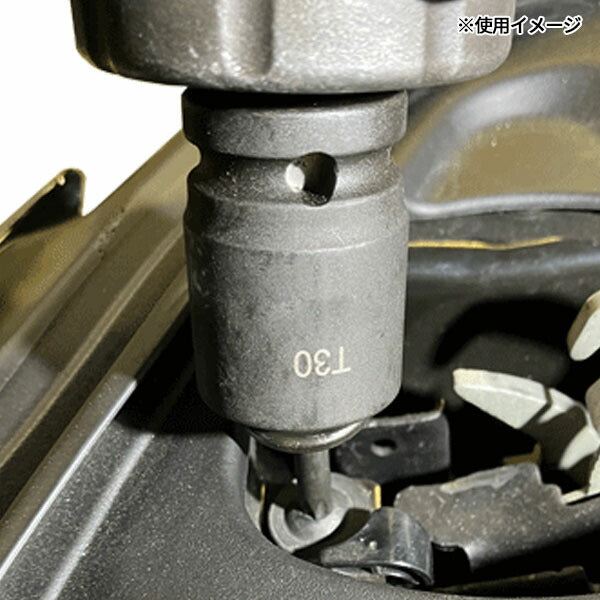 ハスコー 30度首振りトルクスビットセット HAP-900 (4582605862314) HASCO インパクトレンチ対応のトルクスビットセット