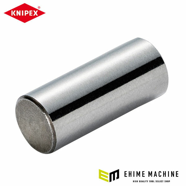 日本正規品 クニペックス ピボットボルト(953xxxx用) (9539-11)(4003773039259) KNIPEX
