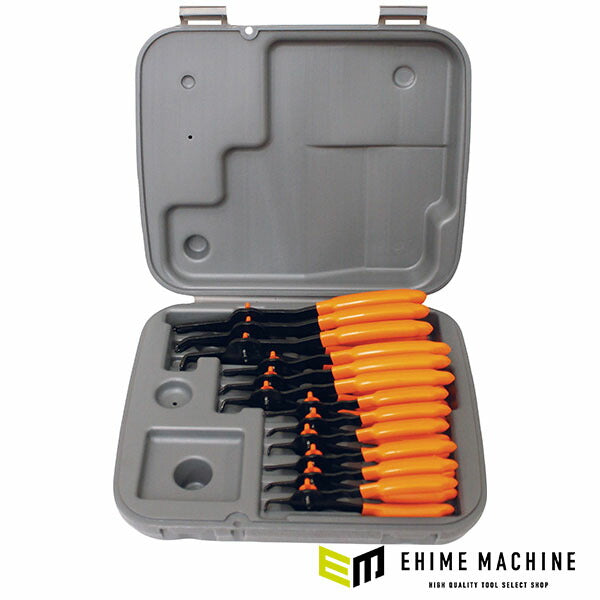 ラングツール スナップリングプライヤーセット 軸穴兼用 12本入 (3595)(0077769035956) LANGTOOLS