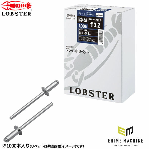 ロブテックス ブラインドリベット スティール/スティール 丸頭 4-6 1000本入 NS46A (NS46A)(4963202005937) LOBSTER エビ