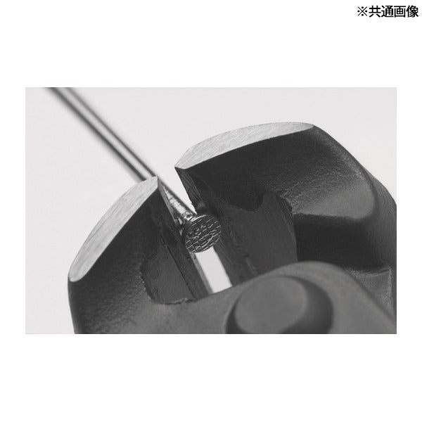 日本正規品 NWS エンドカッティングニッパー 全長160mm 喰い切り (131-12-160-SB)(4003758631102) エヌダブリューエス