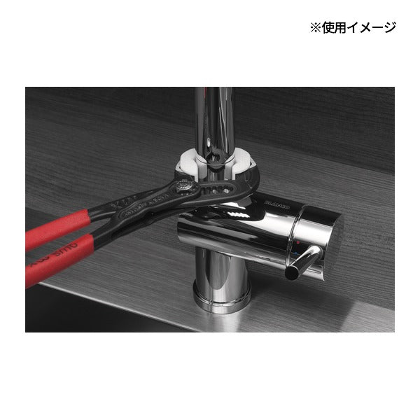 日本正規品 NWS ウォーターポンププライヤ マキシMX 全長250mm (1660-12-250-SB)(4003758666180) エヌダブリューエス