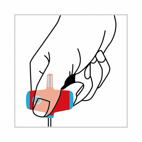 日本正規品 PBスイスツールズ クロスハンドル六角棒ドライバー (1206.2.5-100)(7610733287413)