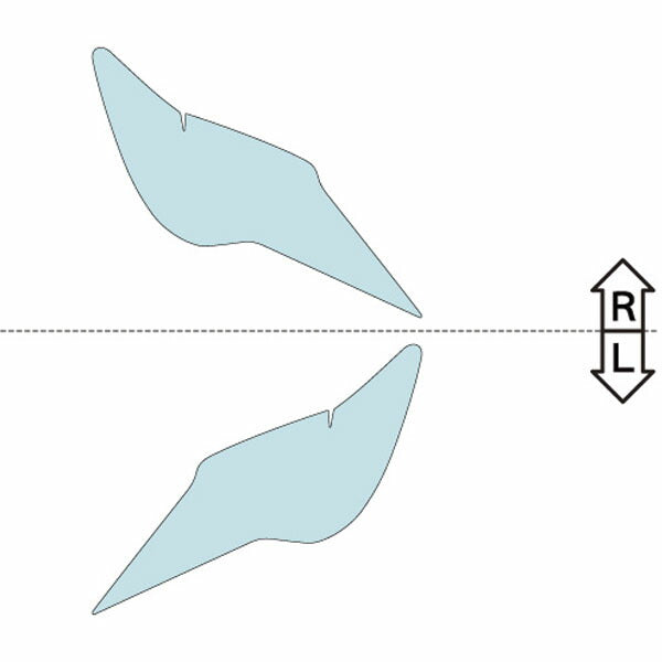 カット済みヘッドライトプロテクションフィルム レクサス RC (H30.10-) (ASC10型/AVC10型/GSC10型) (RC300/RC300h/RC350 【version L】) (PH0202C1805B0SA)