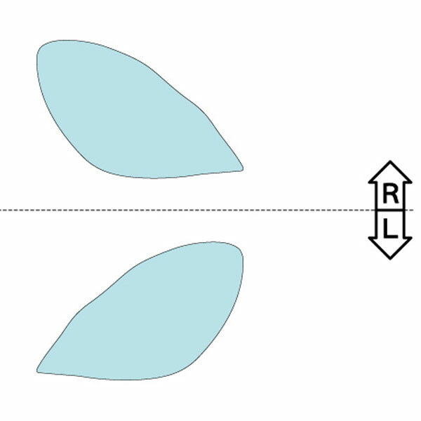 カット済みヘッドライトプロテクションフィルム レクサス SC (H17.7-H20.7) (UZZ40型) (SC430) (PH0211C0505A0SA)