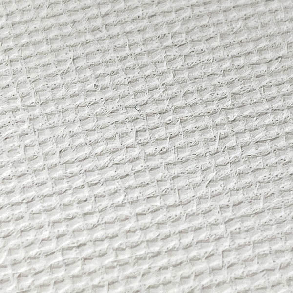 シグネット シックイー999 S 155X200mm 2枚入り (99970)(4712818646054) SIGNET