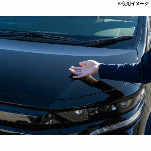 ソフト99 レインドロップ ゴールドグロス 400ml ボディ・ガラス用 撥水コーティング剤 クロス付 (00539)(4975759005391) SOFT99