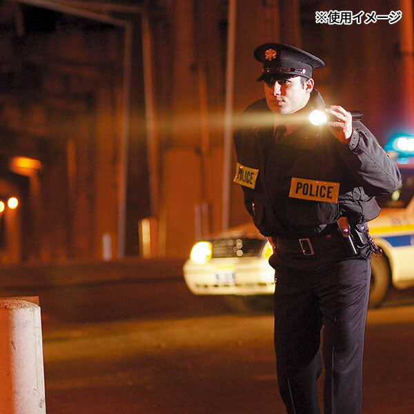 日本正規品 ストリームライト スティンガー AC100V急速ピギーバックセット (75042)(0080926750425) STREAMLIGHT