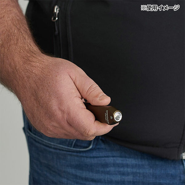 日本正規品 ストリームライト ウエッジ USB コヨーテ (88811)(0080926888111) STREAMLIGHT