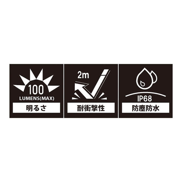 TAKENOW F101 電池式LED ペンライト テイクナウ