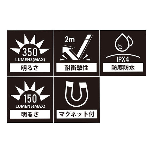 TAKENOW F102 充電式LED ペンライト テイクナウ