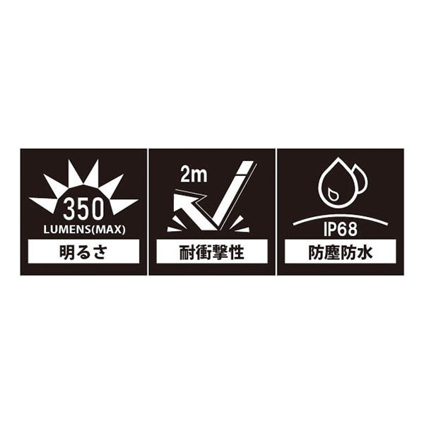 TAKENOW F141 電池式LED トーチライト テイクナウ