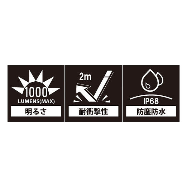 TAKENOW F181 充電式LED トーチライト テイクナウ